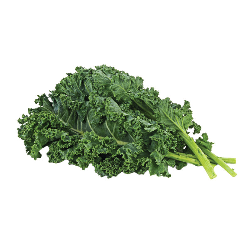american curly kale