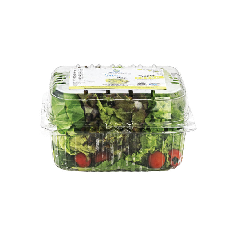 Hydroponic Salad Box
