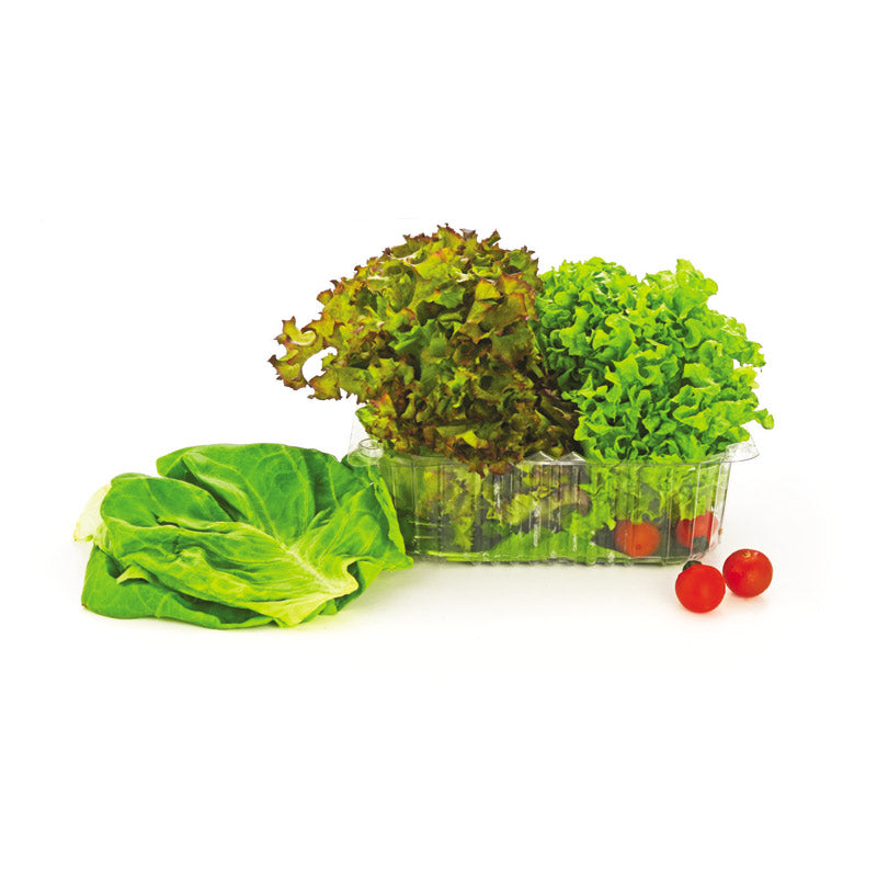 Hydroponic Salad Box