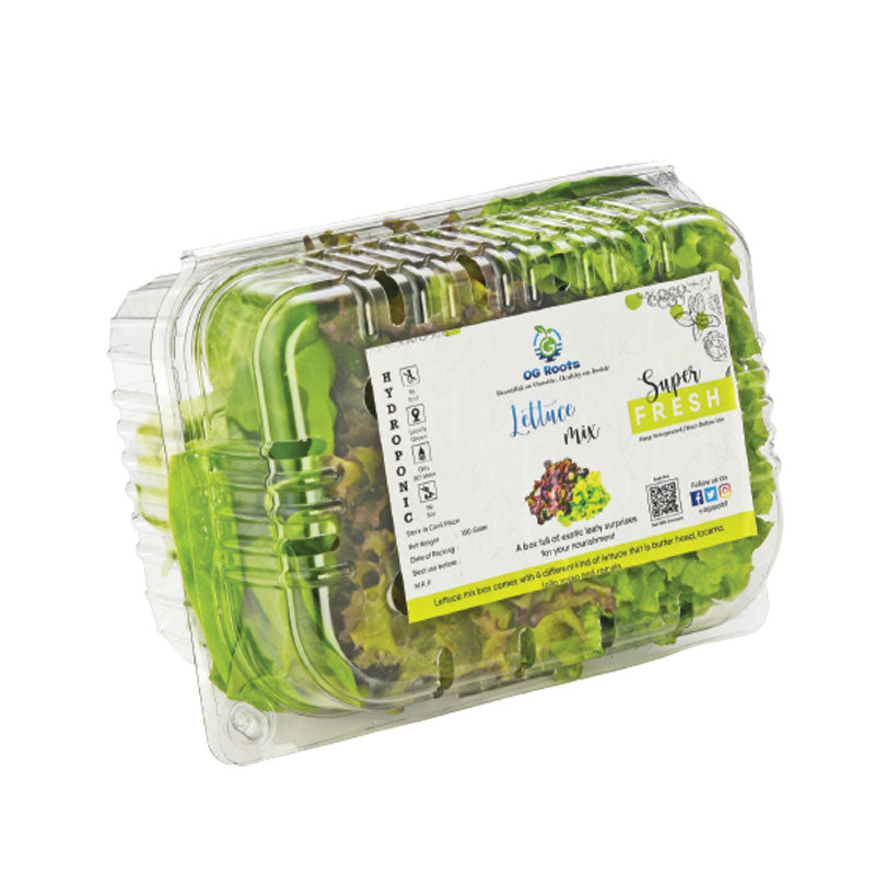 Lettuce Box