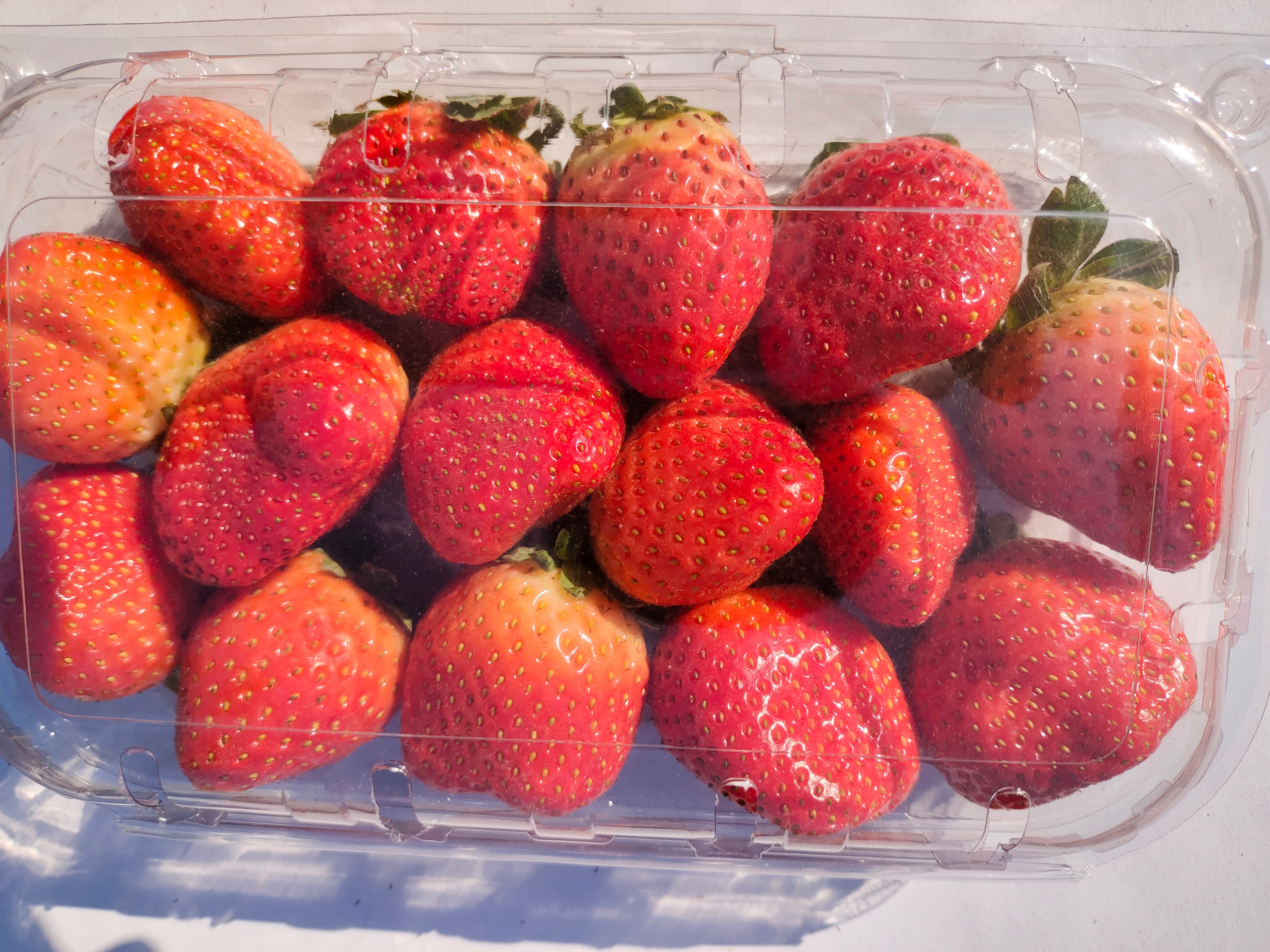 Strawberries Family Pack