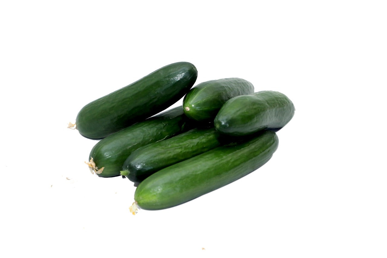 American cucumber